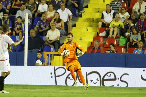 130825_lev_sev_mut_002