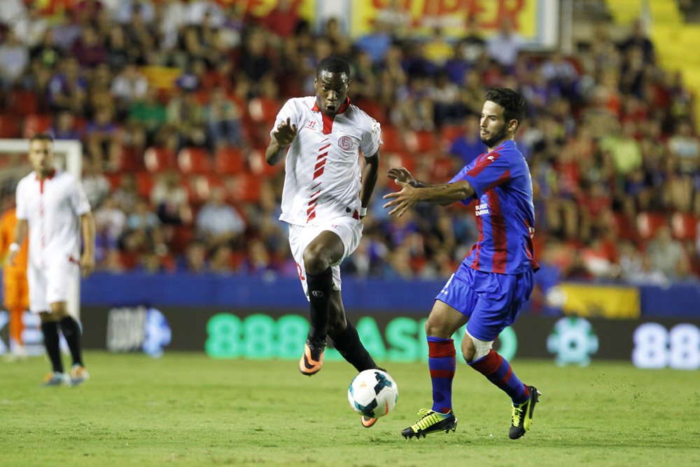 130825_lev_sev_mut_004