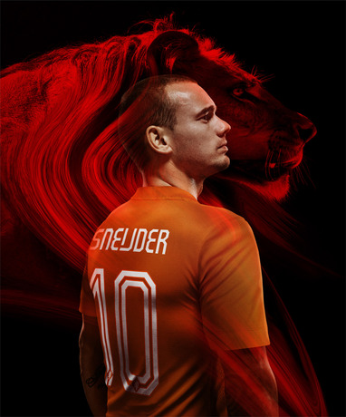 Sneijder_home_27768