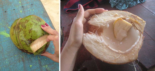 140625_kato_column_007