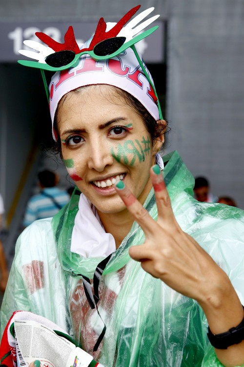Bosnia-Herzegovina v Iran: Group F - 2014 FIFA World Cup Brazil