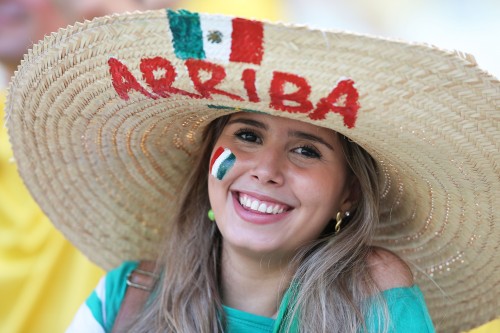 Netherlands v Mexico: Round of 16 - 2014 FIFA World Cup Brazil