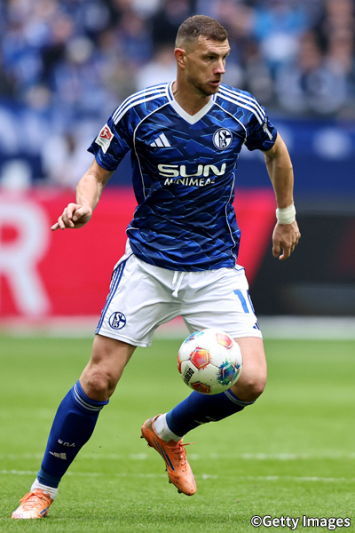 エディン・ジェコ（シャルケ）のプロフィール画像