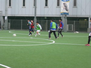 IMG_4533
