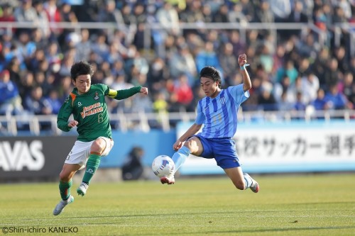 SHIN6184