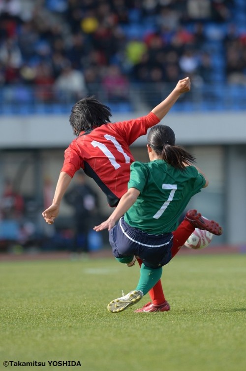 hinomoto_tokiwagi (10)