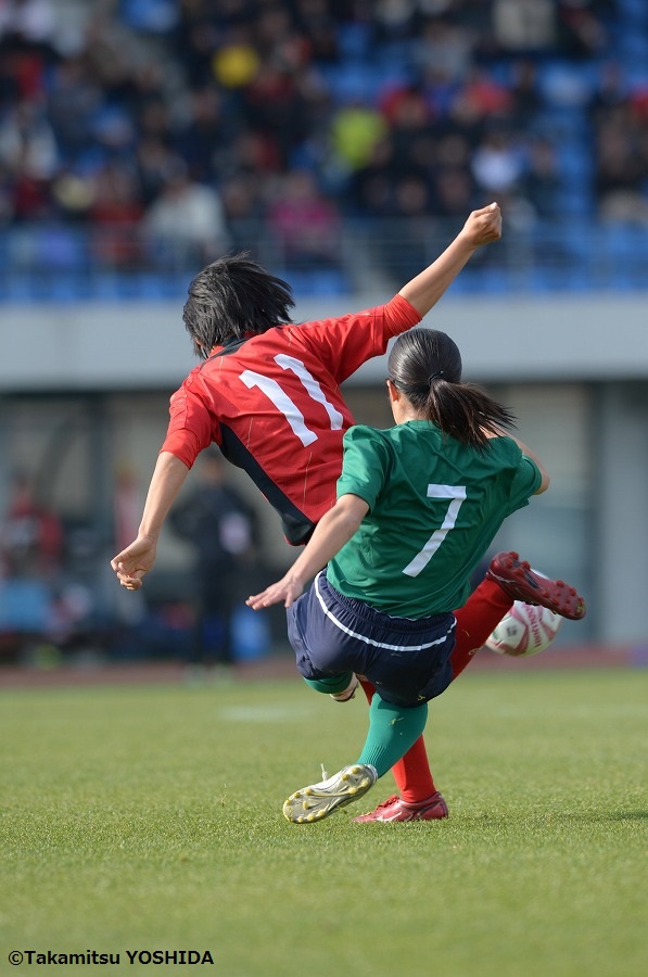 hinomoto_tokiwagi (10)