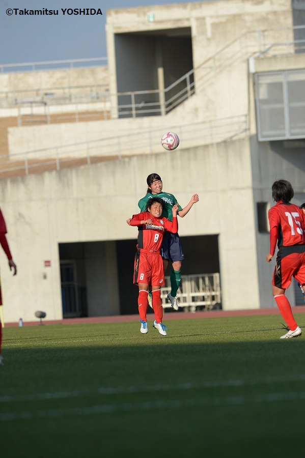 hinomoto_tokiwagi (14)