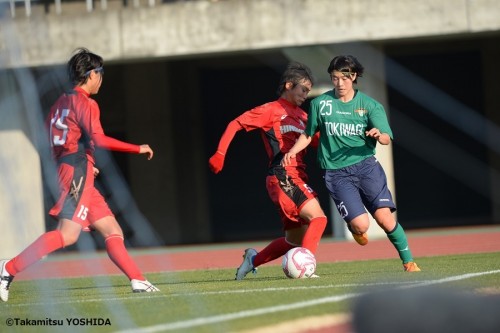 hinomoto_tokiwagi (15)