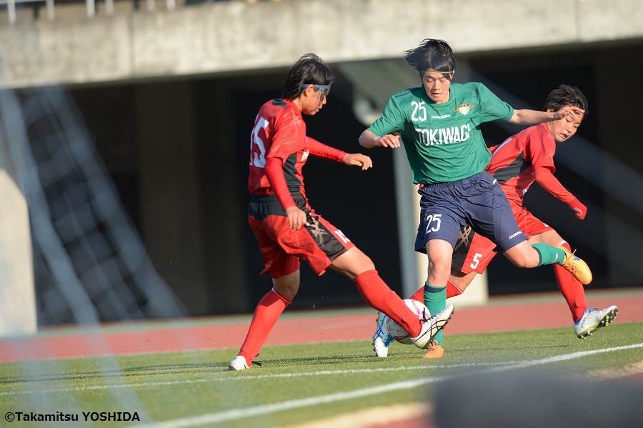 hinomoto_tokiwagi (16)