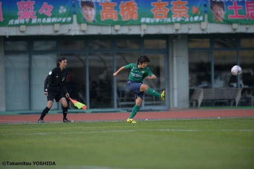 hinomoto_tokiwagi (2)