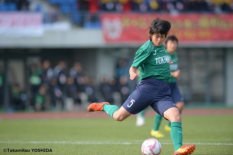 hinomoto_tokiwagi (3)