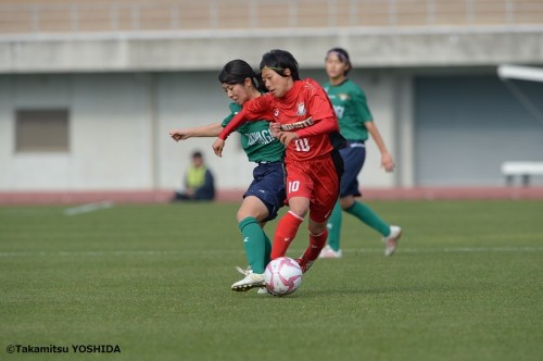 hinomoto_tokiwagi (4)