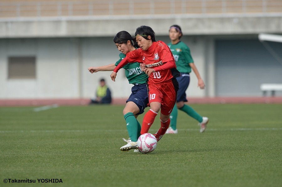 hinomoto_tokiwagi (4)