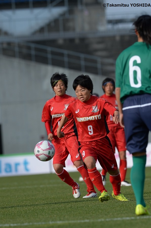 hinomoto_tokiwagi (6)