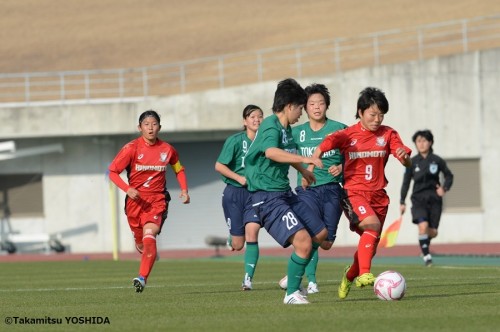 hinomoto_tokiwagi (7)