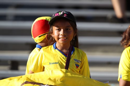 Brazil v Ecuador: Group B - Copa America Centenario