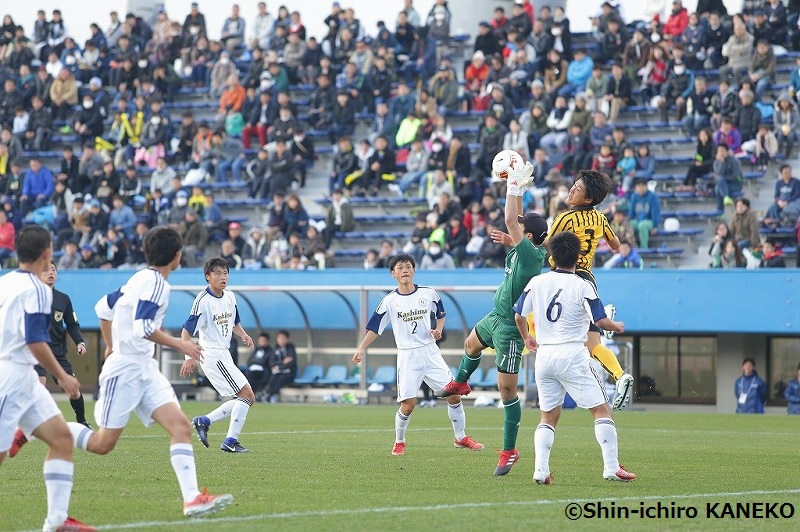 shin8391