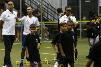 ダーヴィッツ、トレゼゲ