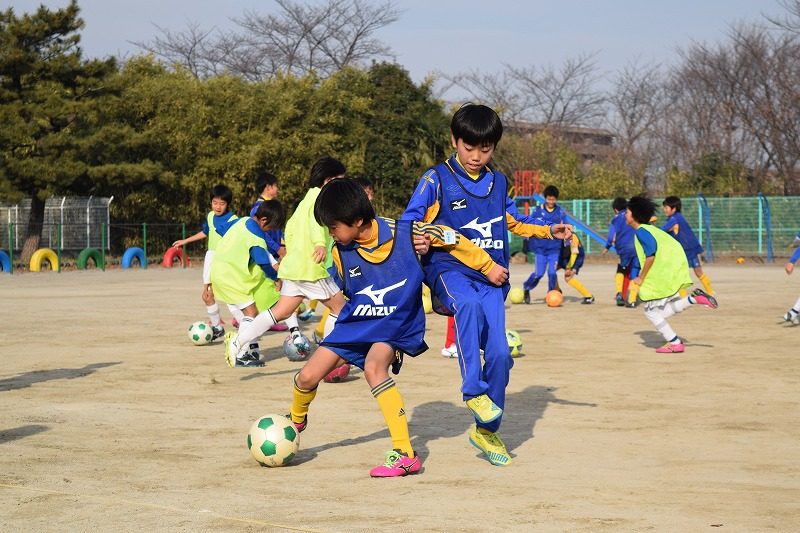 DSC_0193