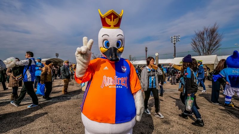 29_新潟_アルビくん2