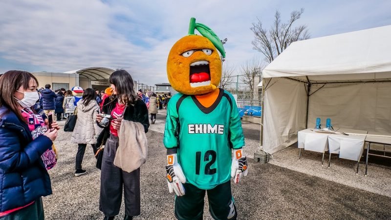 37_愛媛_伊予柑太