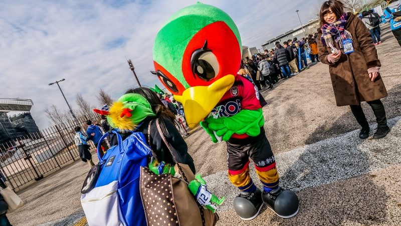 33_岡山_ファジ丸1