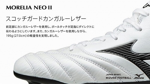 morelianeo2_spec5
