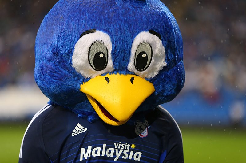 Cardiff City v Wolverhampton Wanderers: Sky Bet Football League Championship