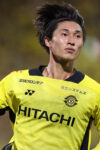 藤尾翔太のプロフィール写真