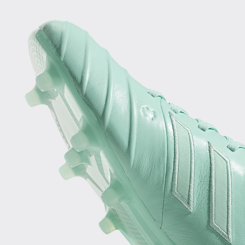 COPA 18.1 FGAG_D2_eCom