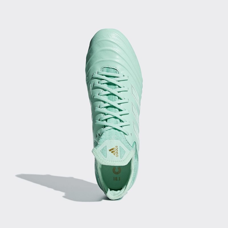 COPA 18.1 FGAG_TPP_eCom