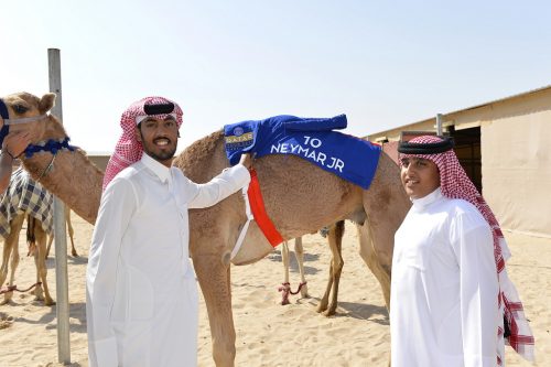 _AM10554_2019011621208926