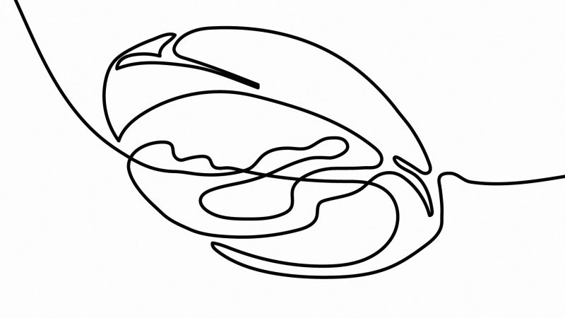 batch_190325_jsc_020