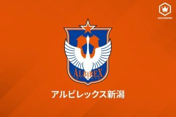 アルビレックス新潟