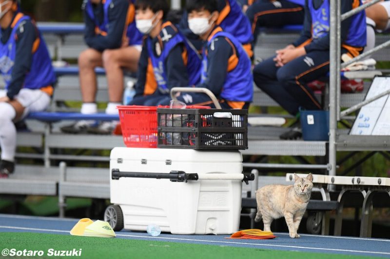 210427SOTARO-001 (12)