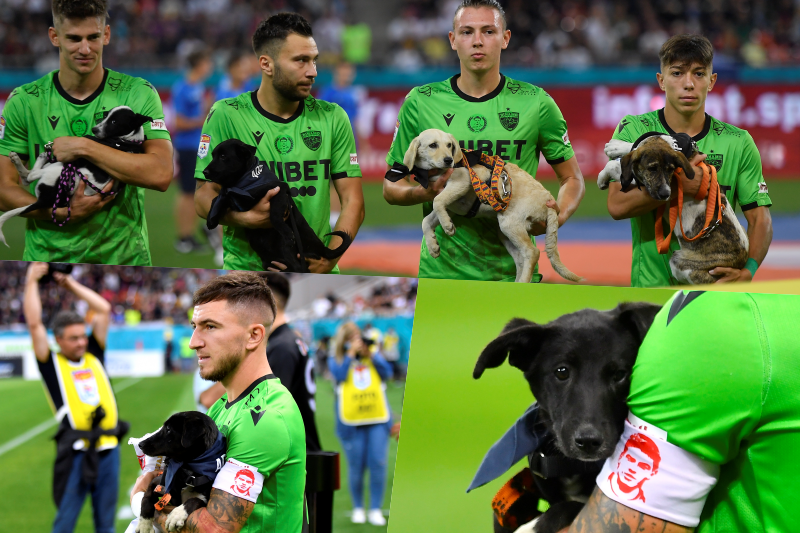 動物への愛と敬意を ルーマニア1部で選手たちが保護犬を抱いて入場 Sns上で大きな話題に サッカーキング