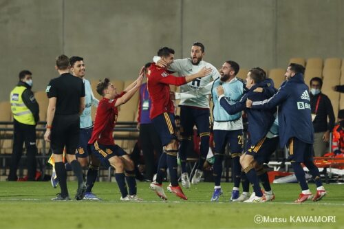 Espana_Sweden_211114_0016_