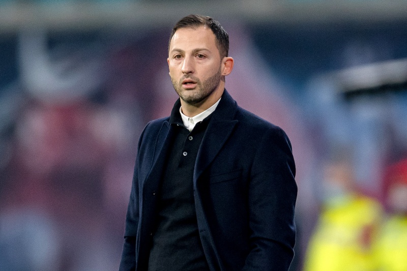 ドメニコ・テデスコ