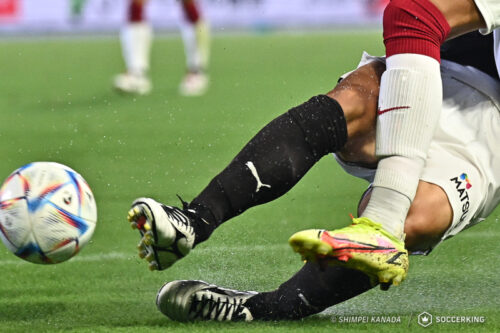 53_220827-248_3936 x 2624