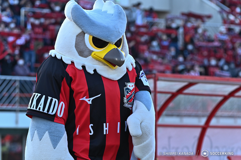 11_Z6A_6861