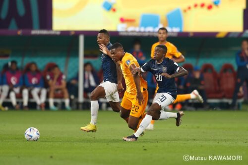 Netherlands_Ecuador_221125_0008_