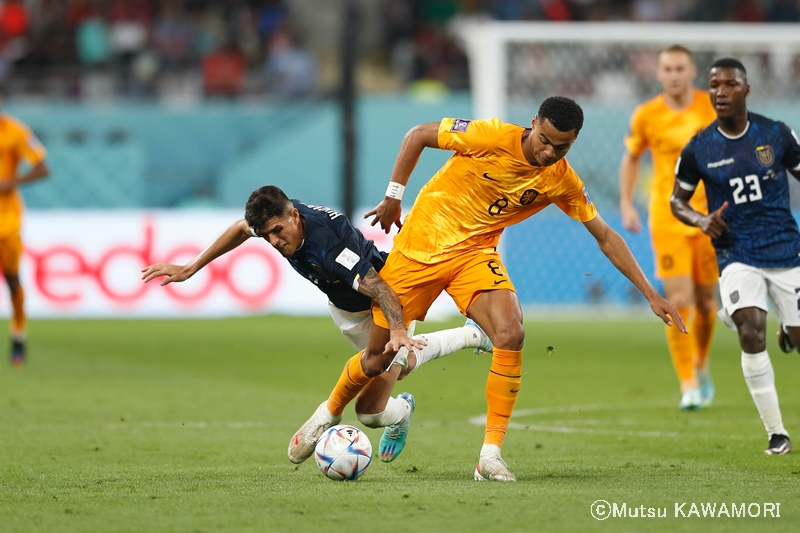 Netherlands_Ecuador_221125_0016_