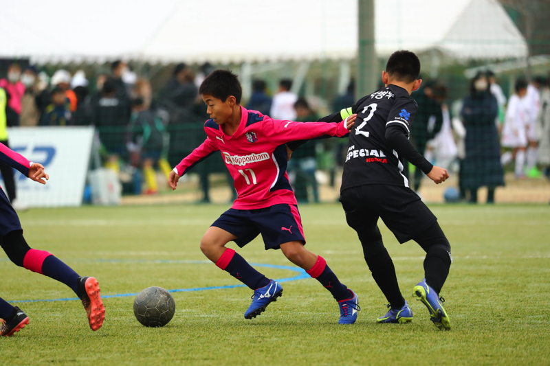 DGSN5709