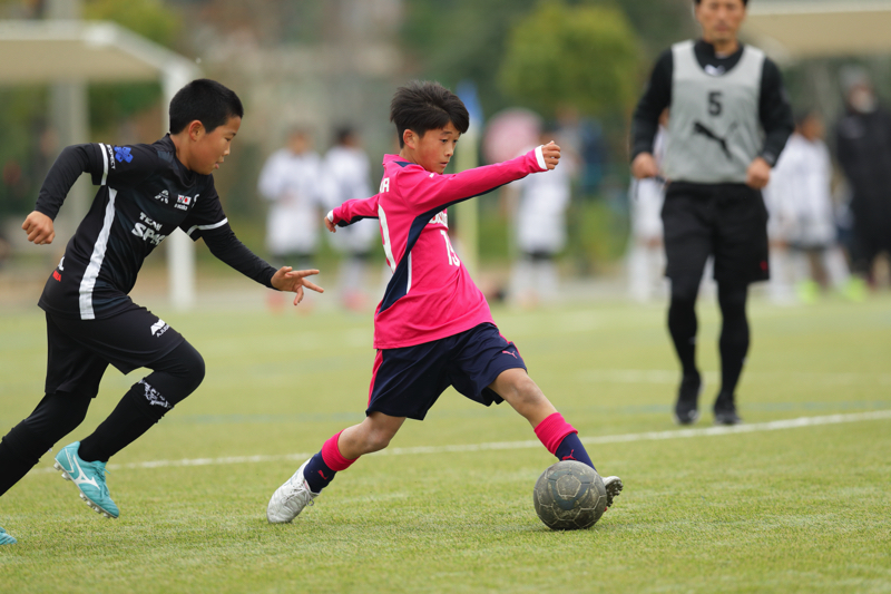 TSC_0148