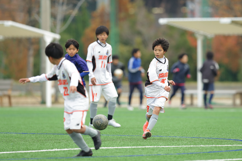TSC_9517