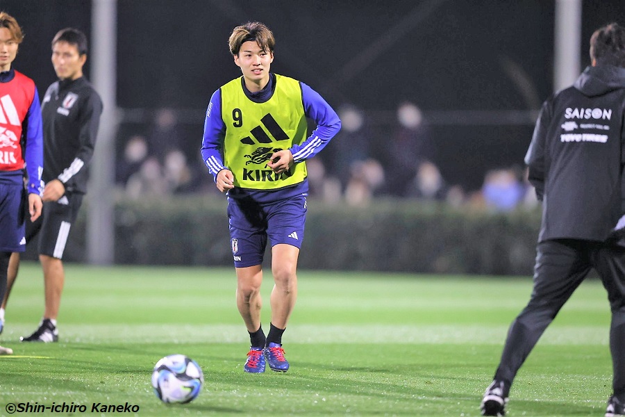 藤井陽也