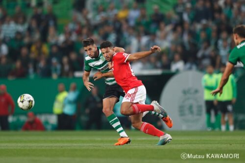 SportingCP_Benfica_230521_0006_