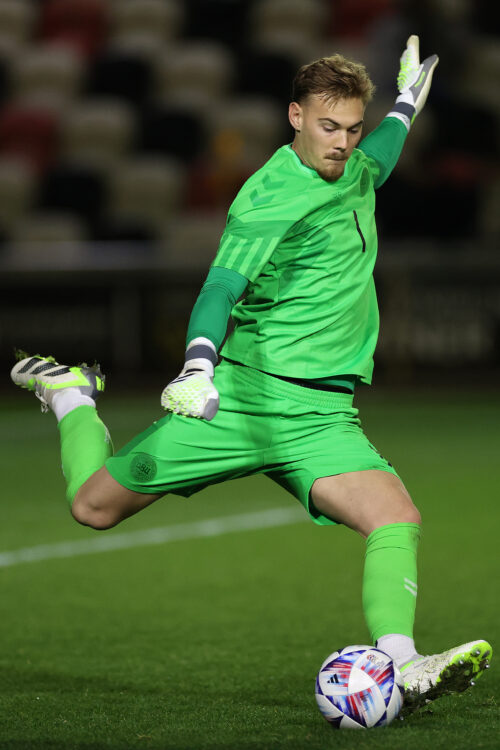 フィリップ・ヨルゲンセン（デンマーク代表）のプロフィール画像