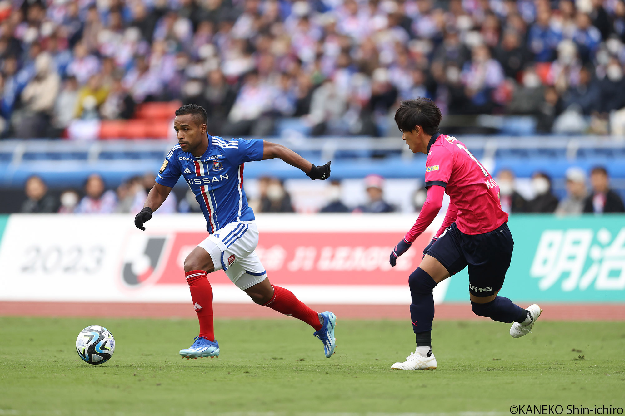 2023.11.12_05_kaneko